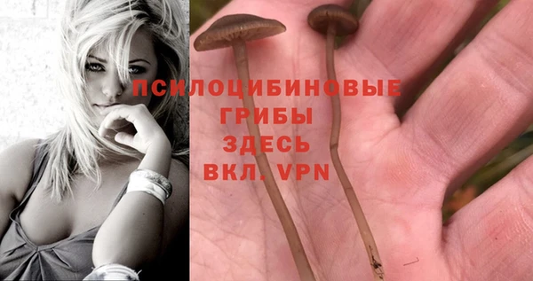МДМА Кукмор