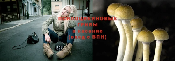 молекула духа Куйбышев