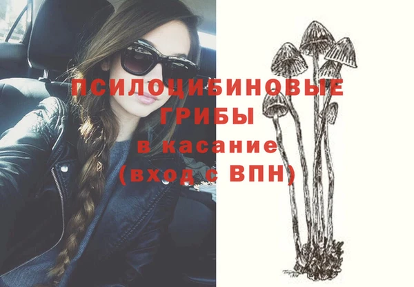 молекула духа Куйбышев