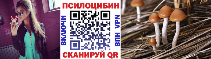 Купить закладки  Фурманов  Псилоцибиновые грибы Psilocybe 